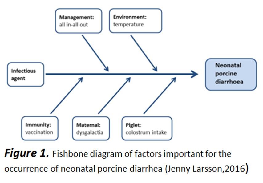 Best practices for managing and controlling neonatal diarrhea 5