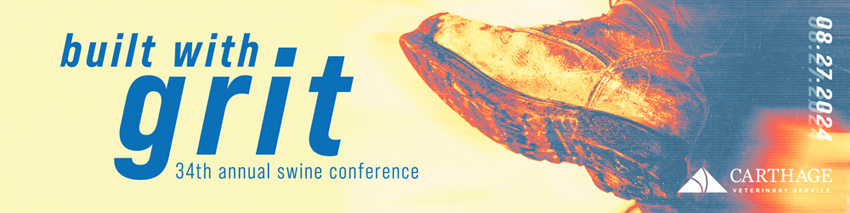 Image: neon colored boot "Built with Grit".