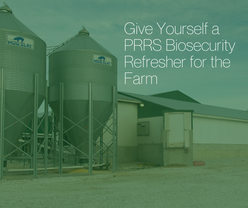 Image: green overlay of pig barn and feed bins.