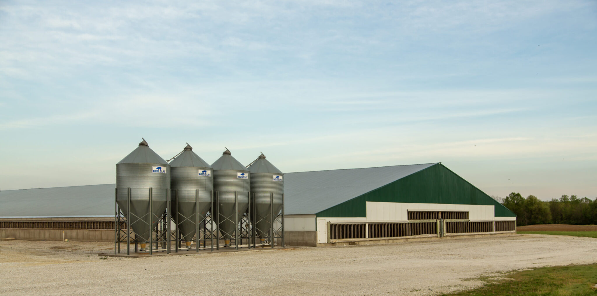 Image: pig barn with grain bins on left.